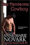 One Handsome Cowboy (Return to Stone Creek #3) by Anne Marie Novark