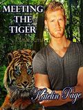 Meeting the Tiger  (Meeting the Tiger: Ronan and Livia: One of Four) by Pixie Moon