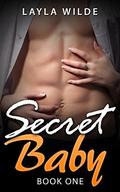 Secret Baby by Layla Wilde