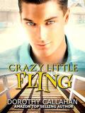 Crazy Little Fling by Dorothy Callahan