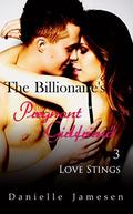 The Billionaire's Pregnant Girlfriend 3: Love Stings by Danielle Jamesen