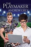 The Playmaker by Andrew Grey