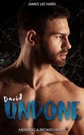 David Undone: Mending a Broken Heart by James Lee Hard