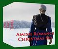 Amish Romance Christmas Set by Sadie Palmer