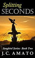 Splitting Seconds by J.C. Matheny