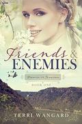 Friends & Enemies (Promise for Tomorrow #1) by Terri Wangard