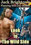 Look to The Wild Side: Flaming Hot Gay BDSM (Tales from The Wild Side #12) by Jack Brighton