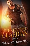 Unexpected Guardian (Skyline Trilogy #3) by Willow Summers