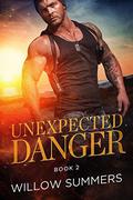 Unexpected Danger (Skyline Trilogy #2) by Willow Summers