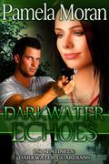 Darkwater Echoes  (PSI Sentinels: Darkwater Guardians) by Pamela Moran
