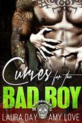 Curves for the Bad Boy by Laura Day