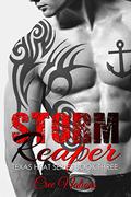 Storm Reaper: Book 3 Texas Heat Series by Dark Water Covers