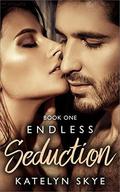 Endless Seduction by Katelyn Skye
