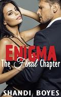 The Final Chapter by Shandi Boyes