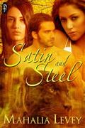 Satin and Steel by Mahalia Levey