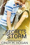 Secrets in the Storm: A Christy Spy Romance Novella (A Christy Spy Novella #2) by Cindy M. Hogan