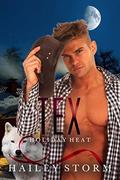 TEX (Holiday Heat #2) by Hailey Storm