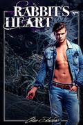 Rabbit's Heart by Celia Jordan