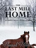 The Last Mile Home (Aspen Valley #6) by Hannah Hooton