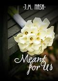 Meant For Us by J.M. Nash