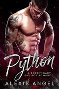 Python: A Secret Baby Bad Boy Romance by Alexis Angel