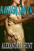 Rough Stock, Part 10 by Alexandria Hunt