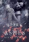 Spark in the Ashes (Steel Souls MC #1) by Nikki Groom