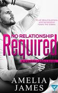 No Relationship Required (A Warning Labels Novel #2) by Amelia James