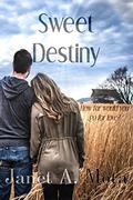Sweet Destiny by Janet A. Mota