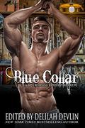 Blue Collar (A Boys Behaving Badly Anthology #2) by Megan Mitcham