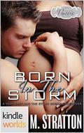 Passion, Vows & Babies: Born in the Storm (The Storm #4) by M. Stratton