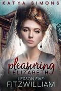 Pleasuring Elizabeth - Lesson Five: Fitzwilliam (A Sensual Pride & Prejudice Interlude #5) by Katya Simons