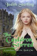 The Cauldron Stirred (Guardians of Erin #1) by Judith Sterling
