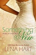 Something New (Brides of Cedar Bend #2) by Lena Hart