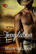 Temptation (Shadows of the Heart #1) by Sandy Sullivan