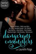 Dangerous Encounters: Twelve Book Boxed Set by K.L. Kreig