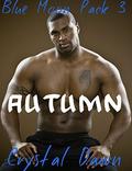 Autumn (Blue Moon series #3) by Eagle Eye Covers