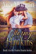 Stormy Hawkins (Prairie Hearts #1) by Ana Morgan