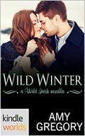 Wild Irish: Wild Winter  (Kindle Worlds Novella) by Amy Gregory