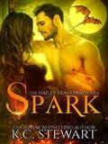 Spark  (Hailey Holloway Series) by K.C. Stewart