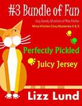 #3 Bundle of Fun by Lizz Lund