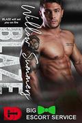 Blaze (Big D Escort Service #2) by Willow Summers