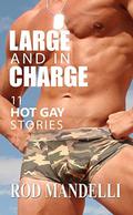 Large And In Charge: 11 Hot Gay Stories by Rod Mandelli