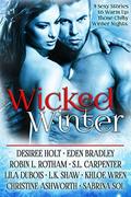Wicked Winter : boxed set by Christine Ashworth