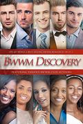 BWWM Discovery: 5 BWWM Romance Stories In 1 by Theresa McGhee