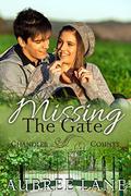 Missing the Gate:  (A Chandler County Novel) by Aubree Lane