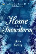 Home in a Snowstorm (NineStar Press 2017 Holiday Series) by Ava Kelly