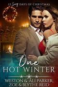 One Hot Winter: A Sexy Bad Boy Holiday Novel (The Parker's 12 Days of Christmas #9) by Blythe Reid