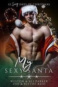 My Sexy Santa (The Parker's 12 Days of Christmas #11) by Blythe Reid