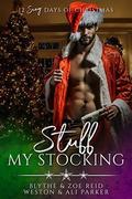 Stuff My Stocking (The Parker's 12 Days of Christmas #12) by Blythe Reid